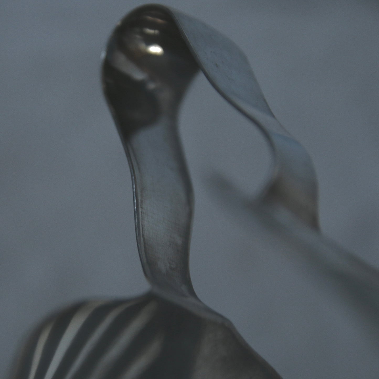 Asparagus tongs