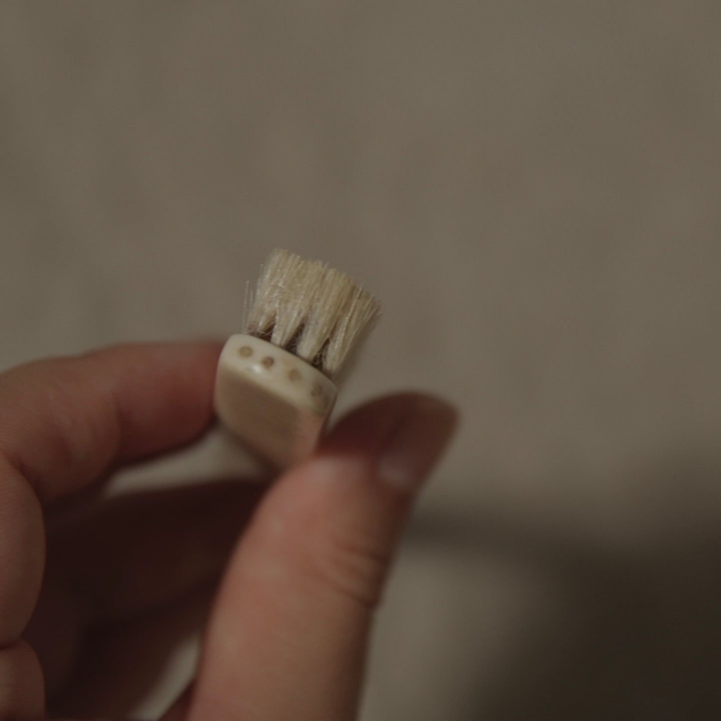 Brush