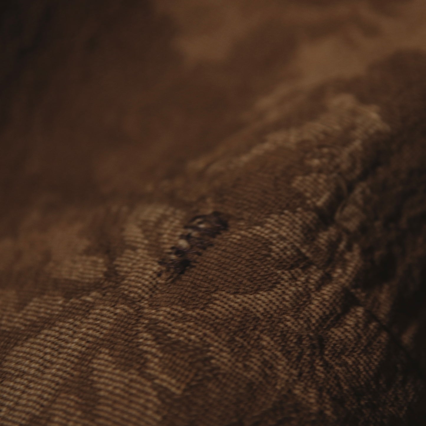 Gobelin Tapestry