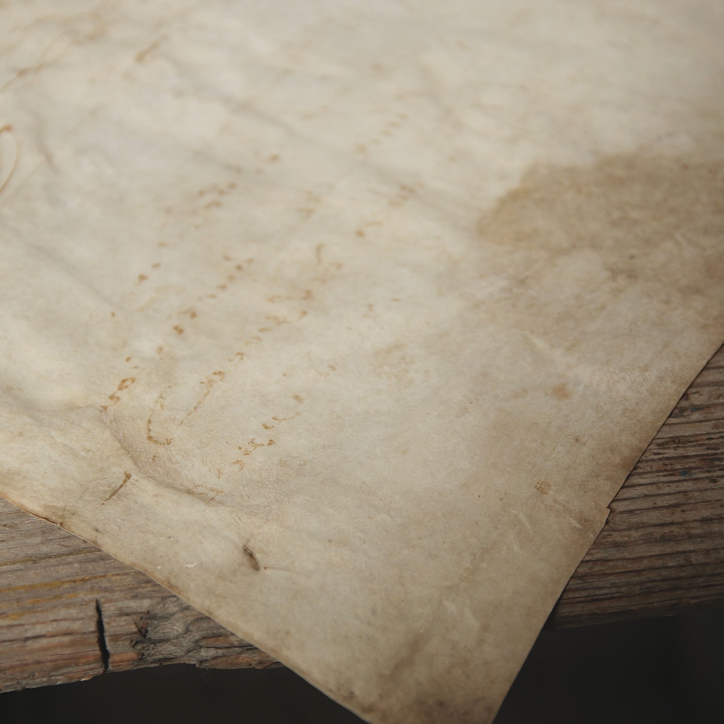 Parchment